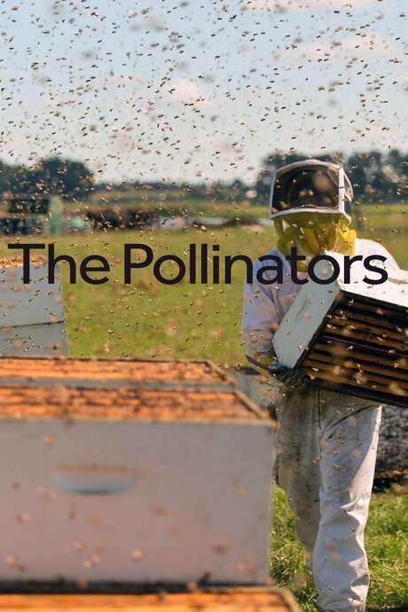The Pollinators